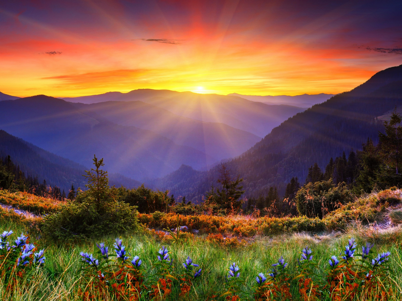 Яркое солнце покрывает вершины гор и красивую природу 