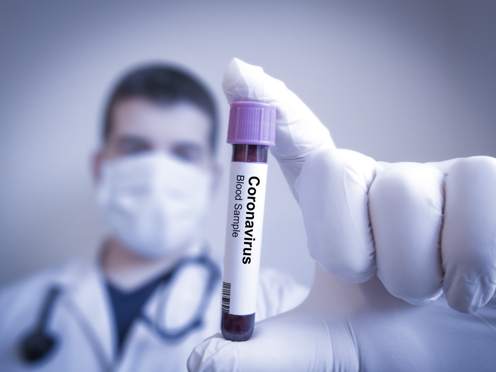 Assay for coronavirus covid-19 in vitro in hand