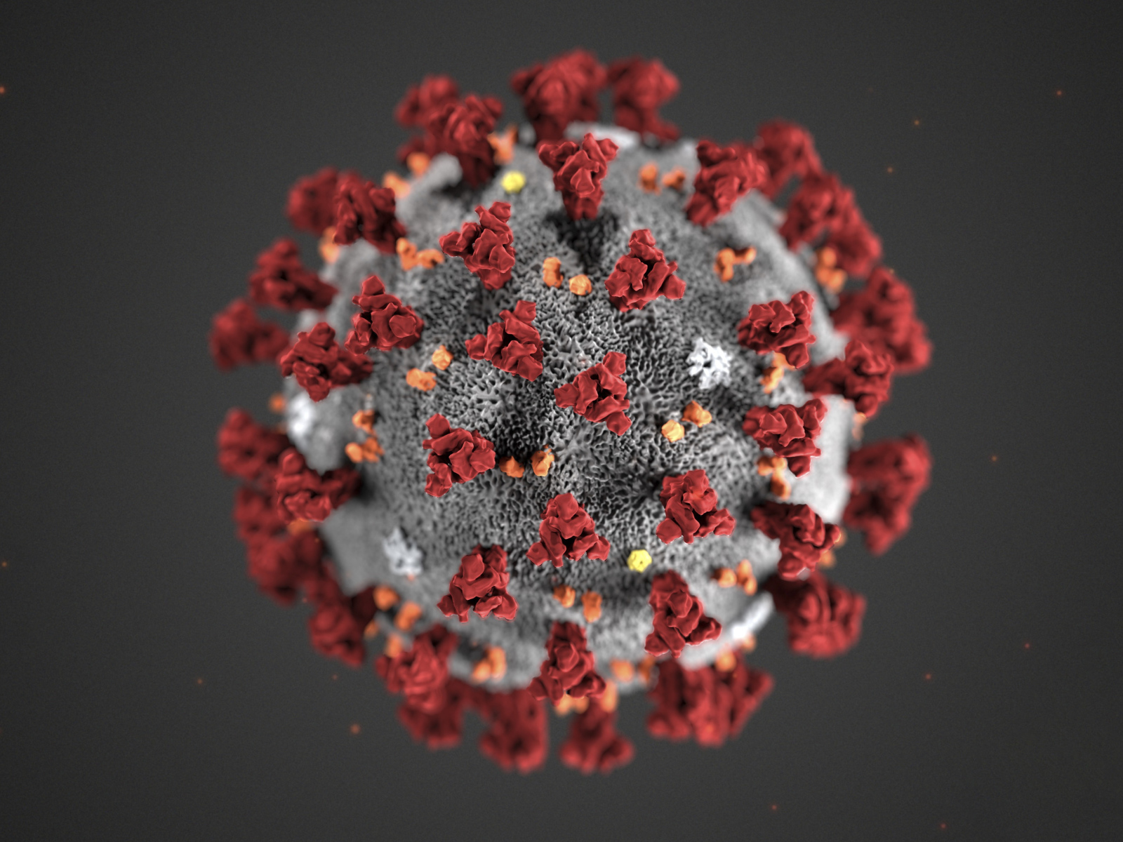 Коронавирус COVID-19 на сером фоне