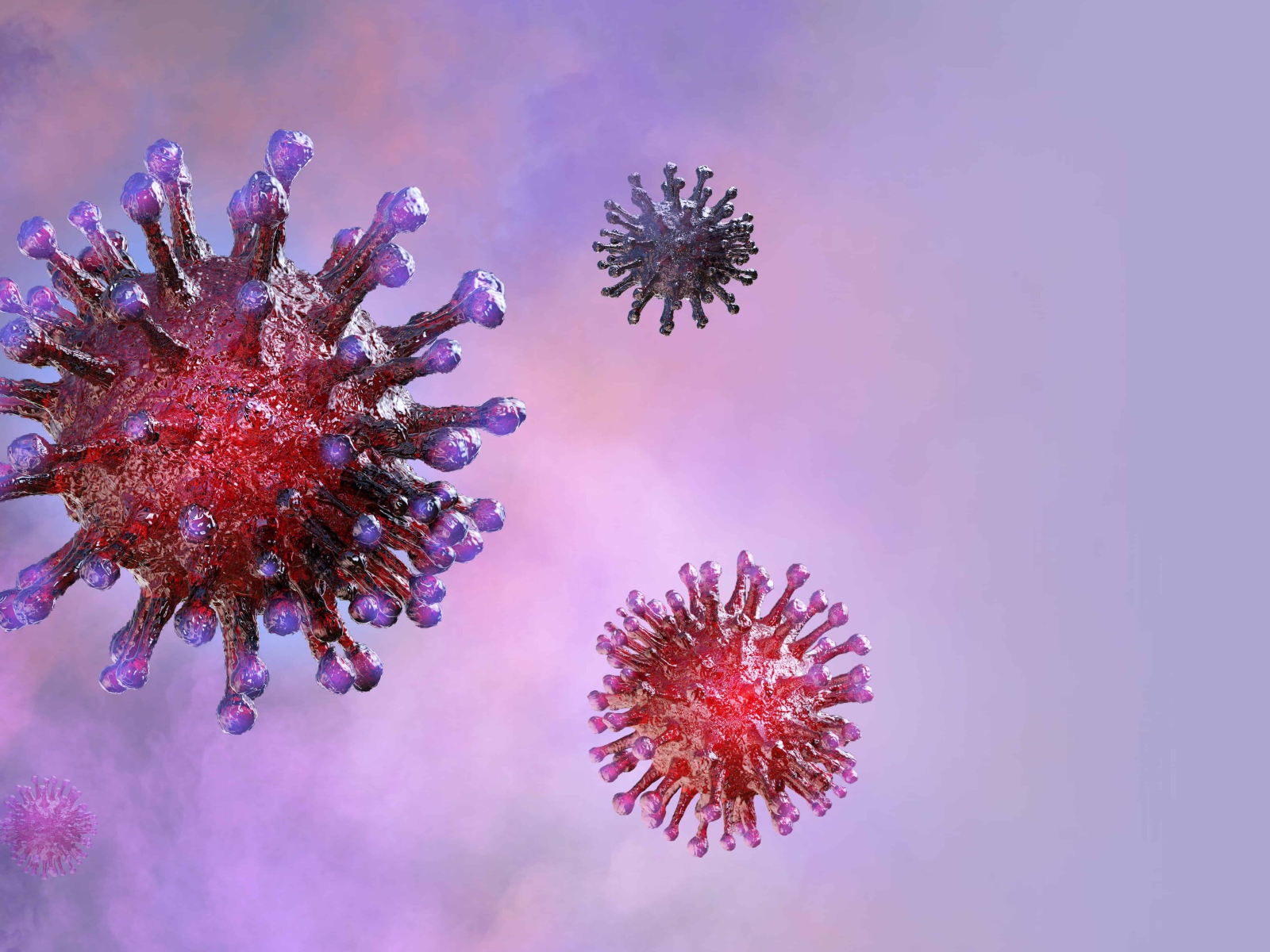 Вирусы коронавируса covid-19 на фиолетовом фоне