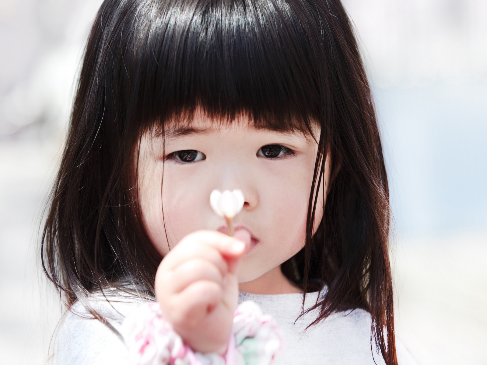 Маленькая девочка азиатка с цветком