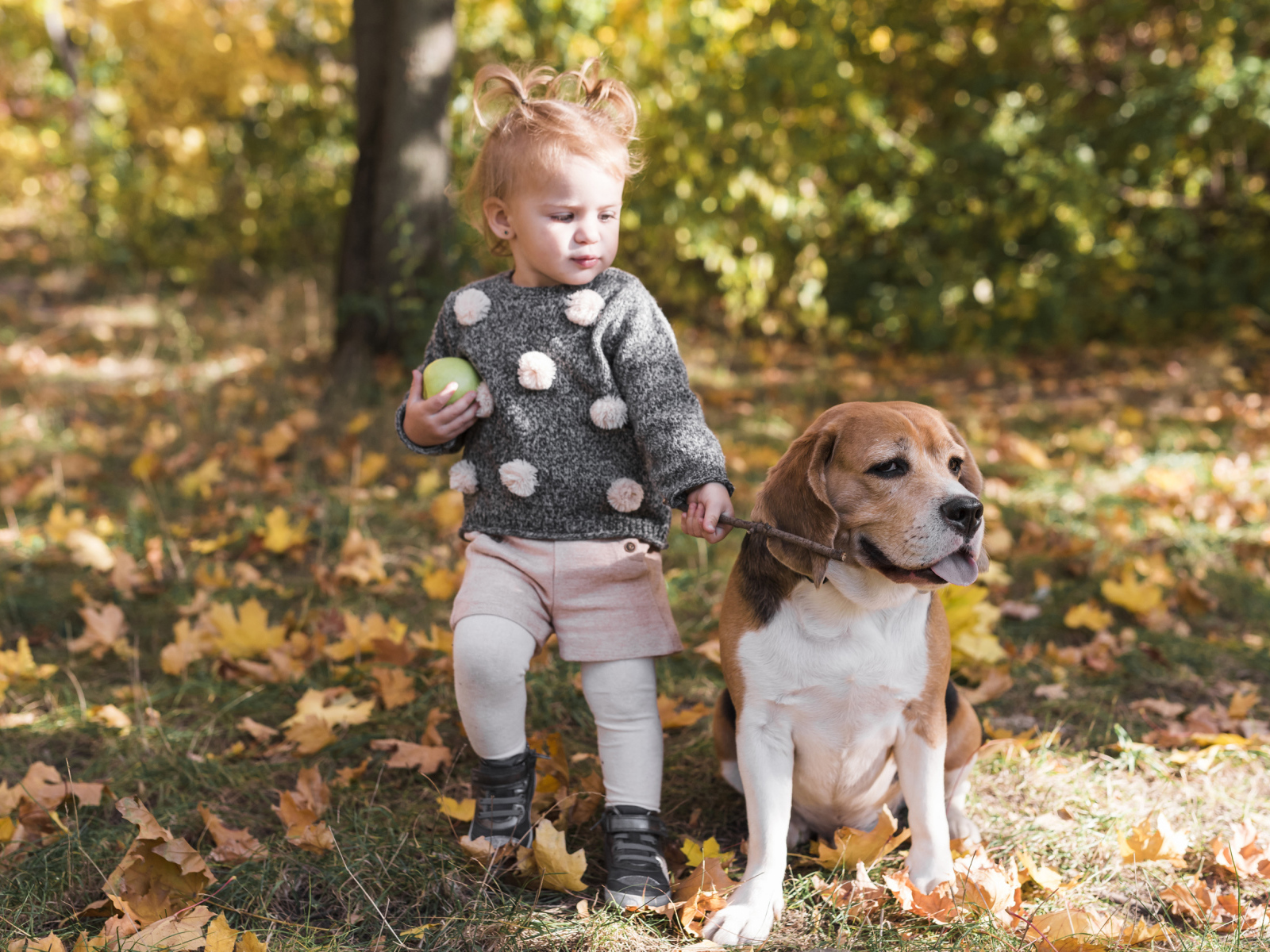 Маленькая девочка гуляет с собакой по осеннему парку