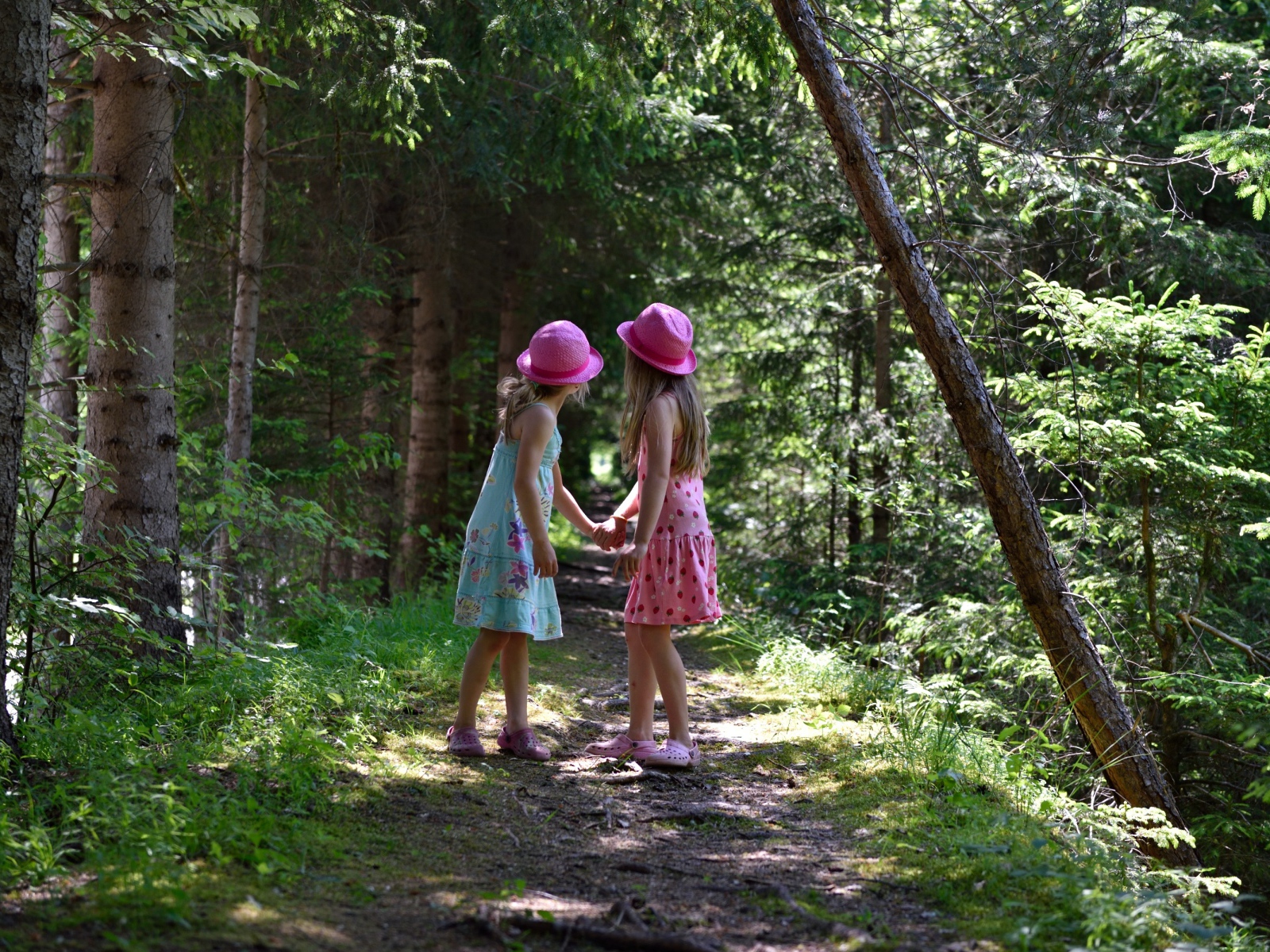 Две маленькие девочки гуляют в лесу