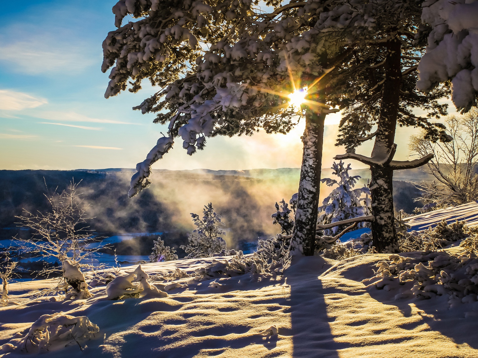 Яркое зимнее солнце прогревает заснеженную землю 