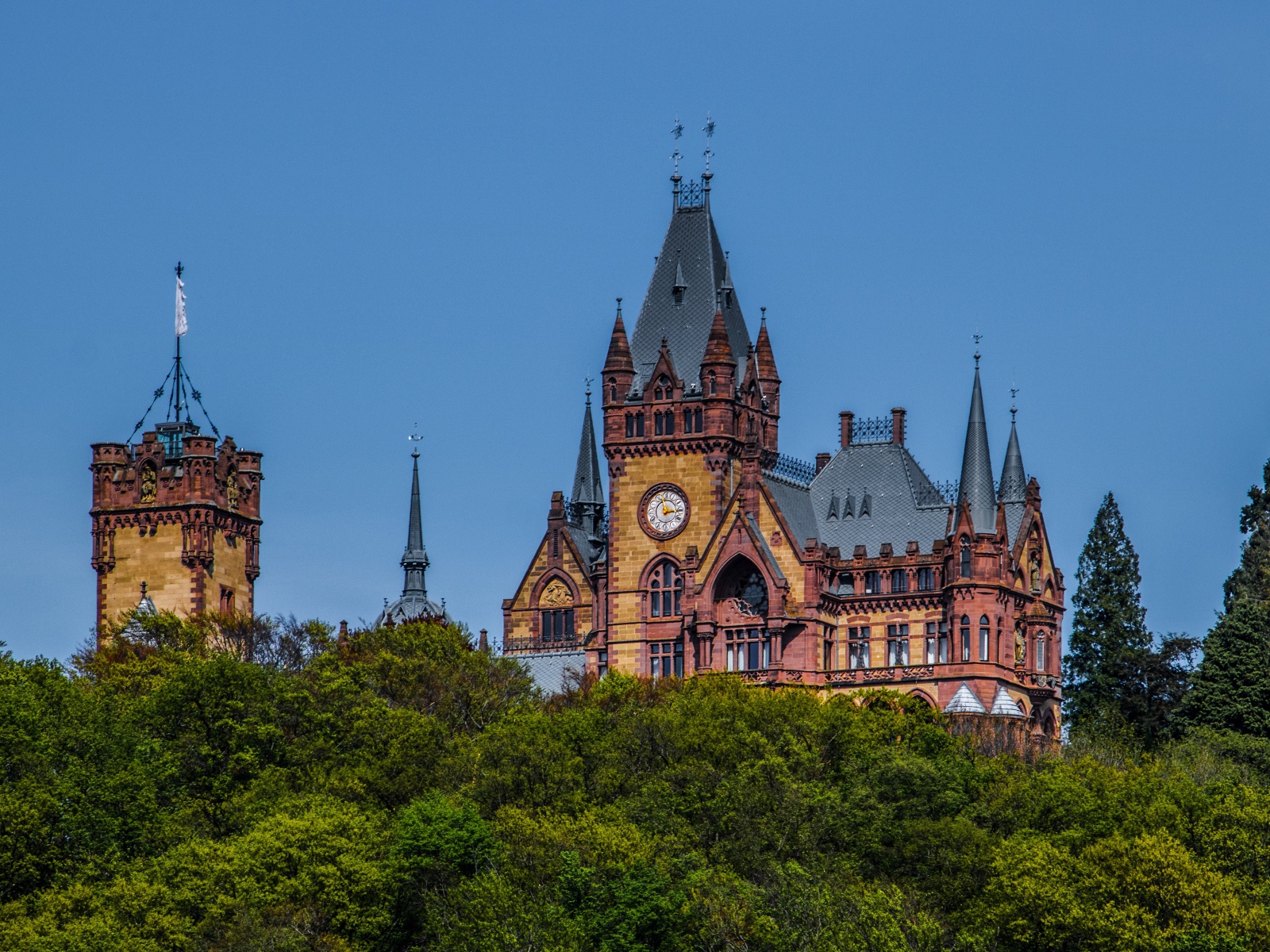 Замок Драхенбург в зарослях деревьев под голубым небом
