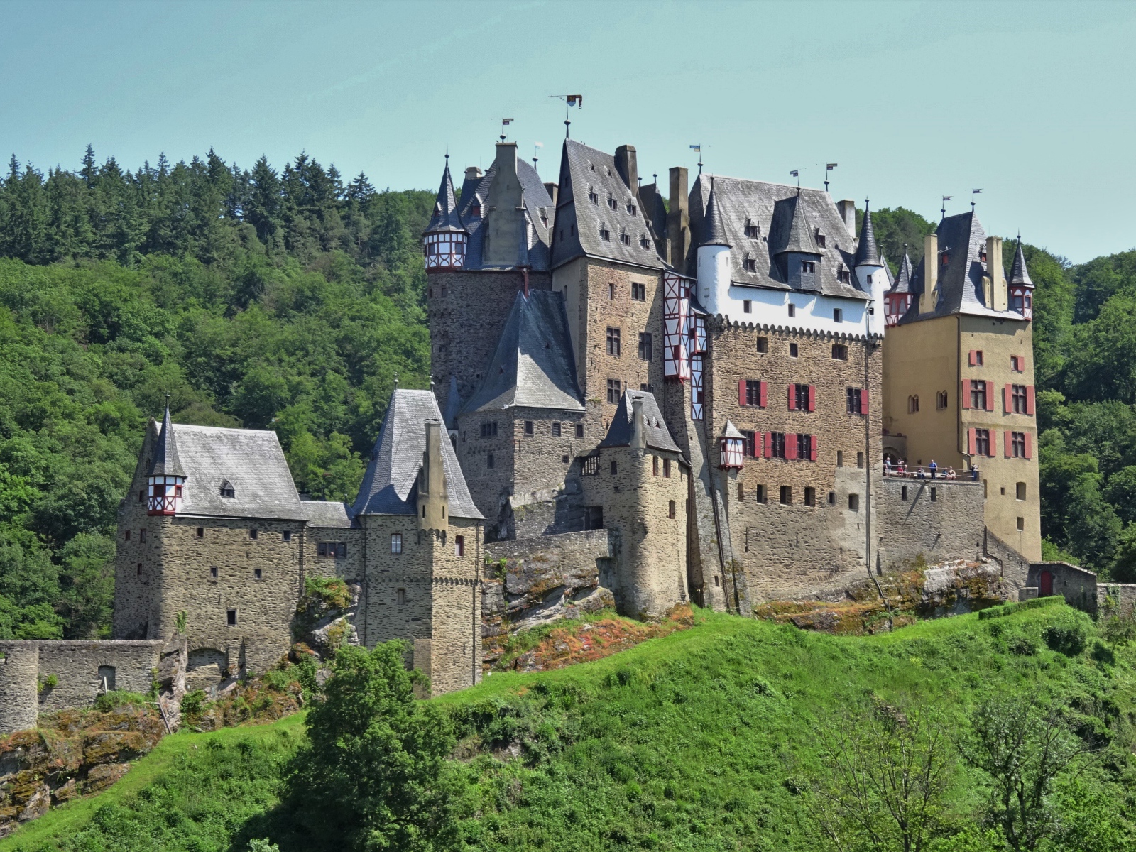 Старинный замок Рейнланд-Пфальц в лесу, Германия