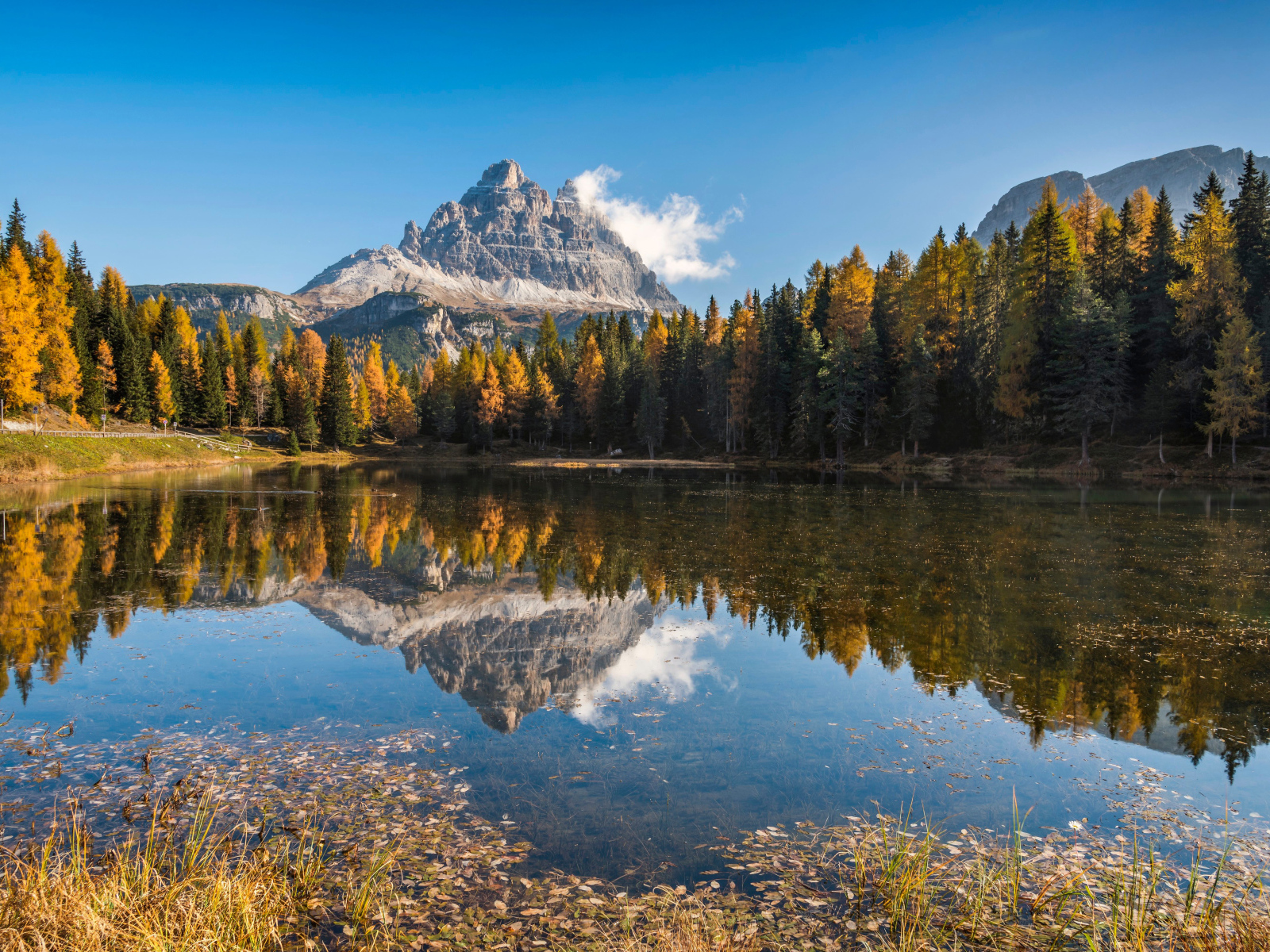 Гора и лес отражаются в воде озера, Италия