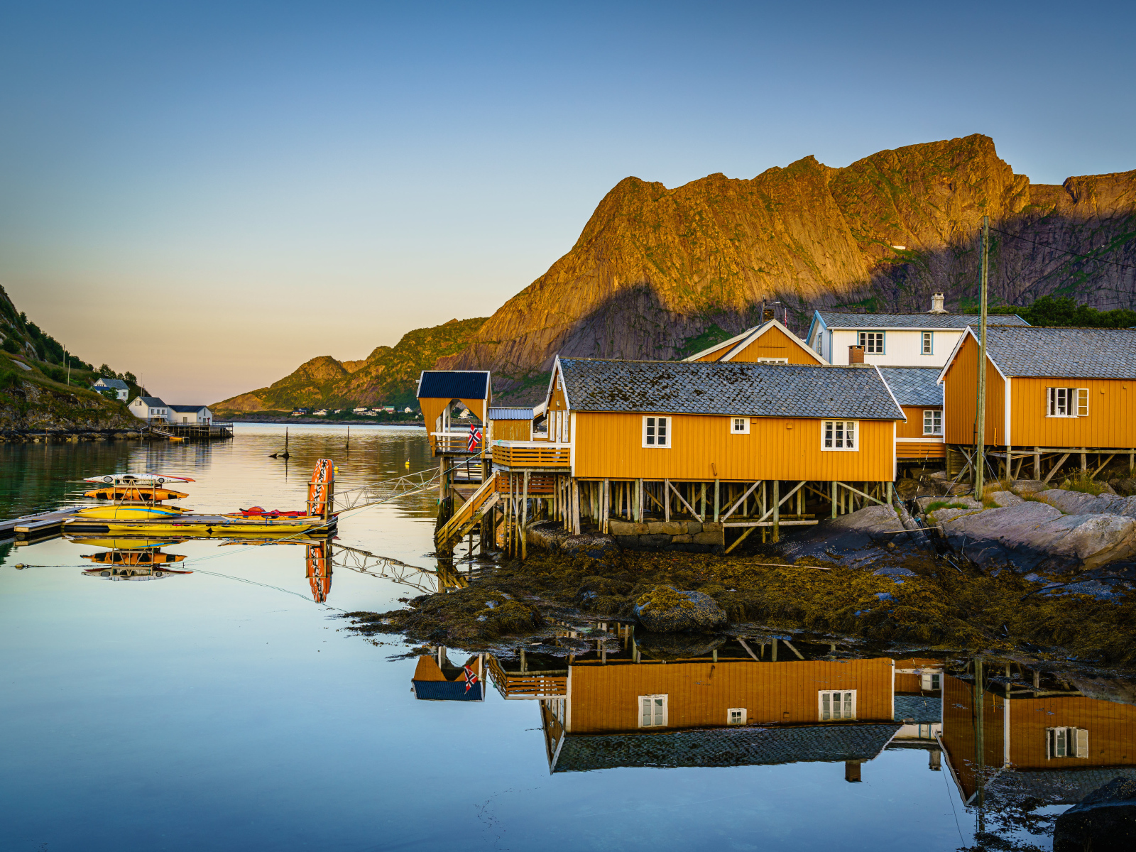 Деревья на сваях на острове Лофотен у гор, Норвегия 