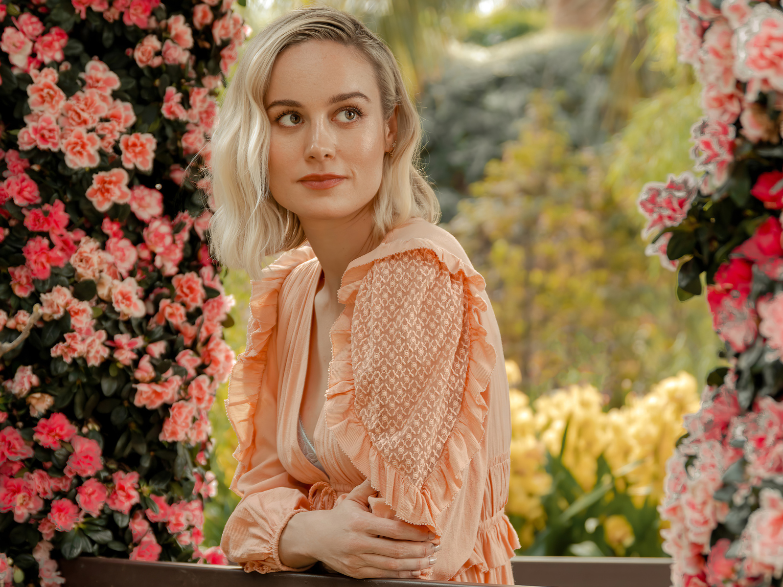 Актриса Бри Ларсон сидит у кустов с розовыми цветами