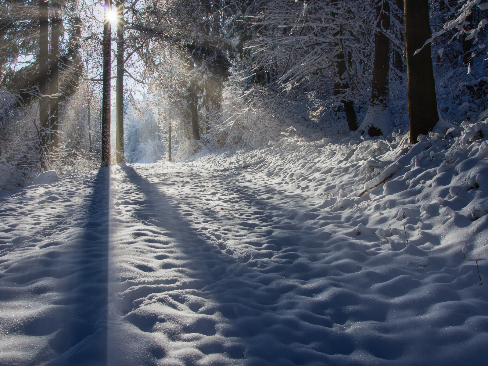 Лучи солнца освещают заснеженную дорогу 