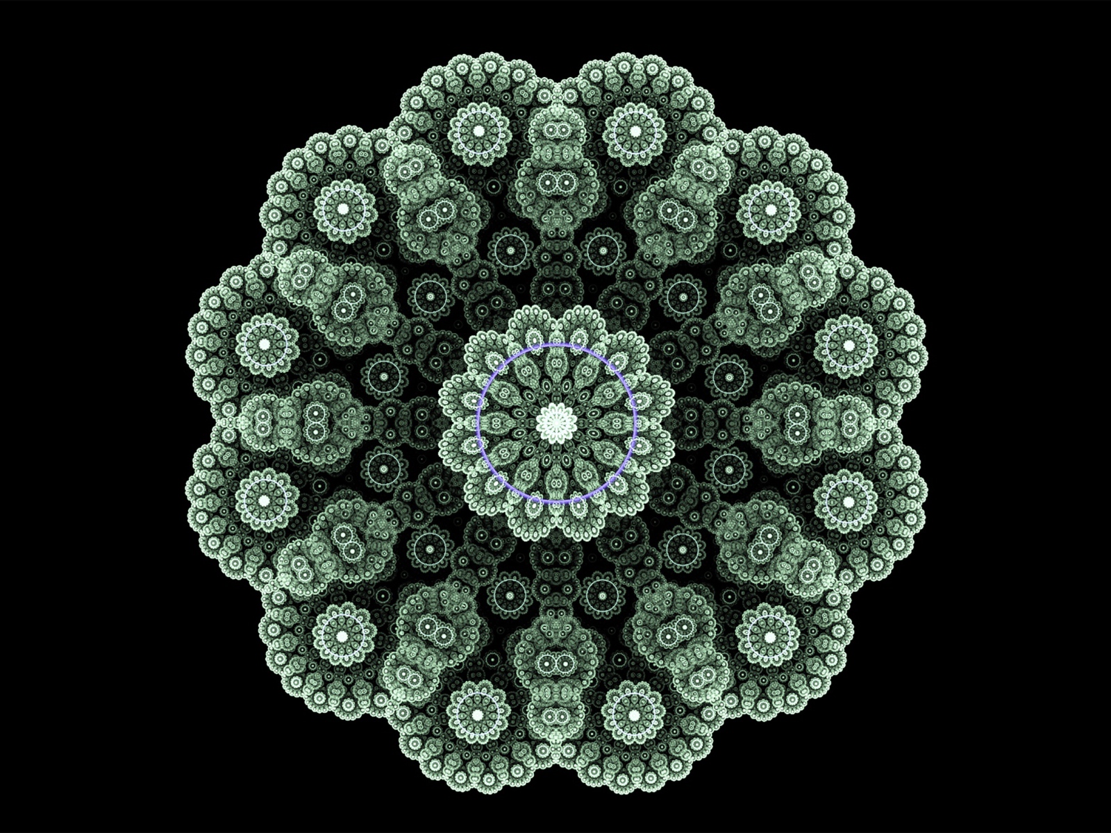 Кружевной зеленый фрактальный цветок на черном фоне