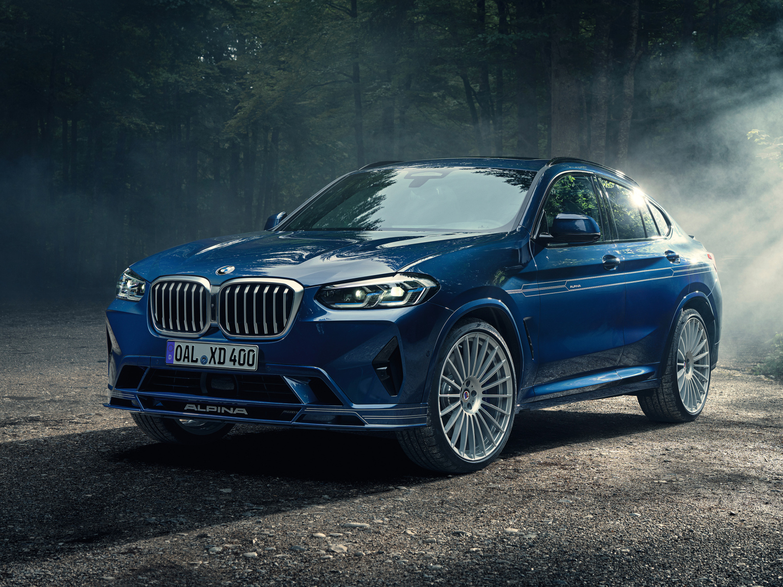 Автомобиль Alpina XD4, 2021 года в лесу