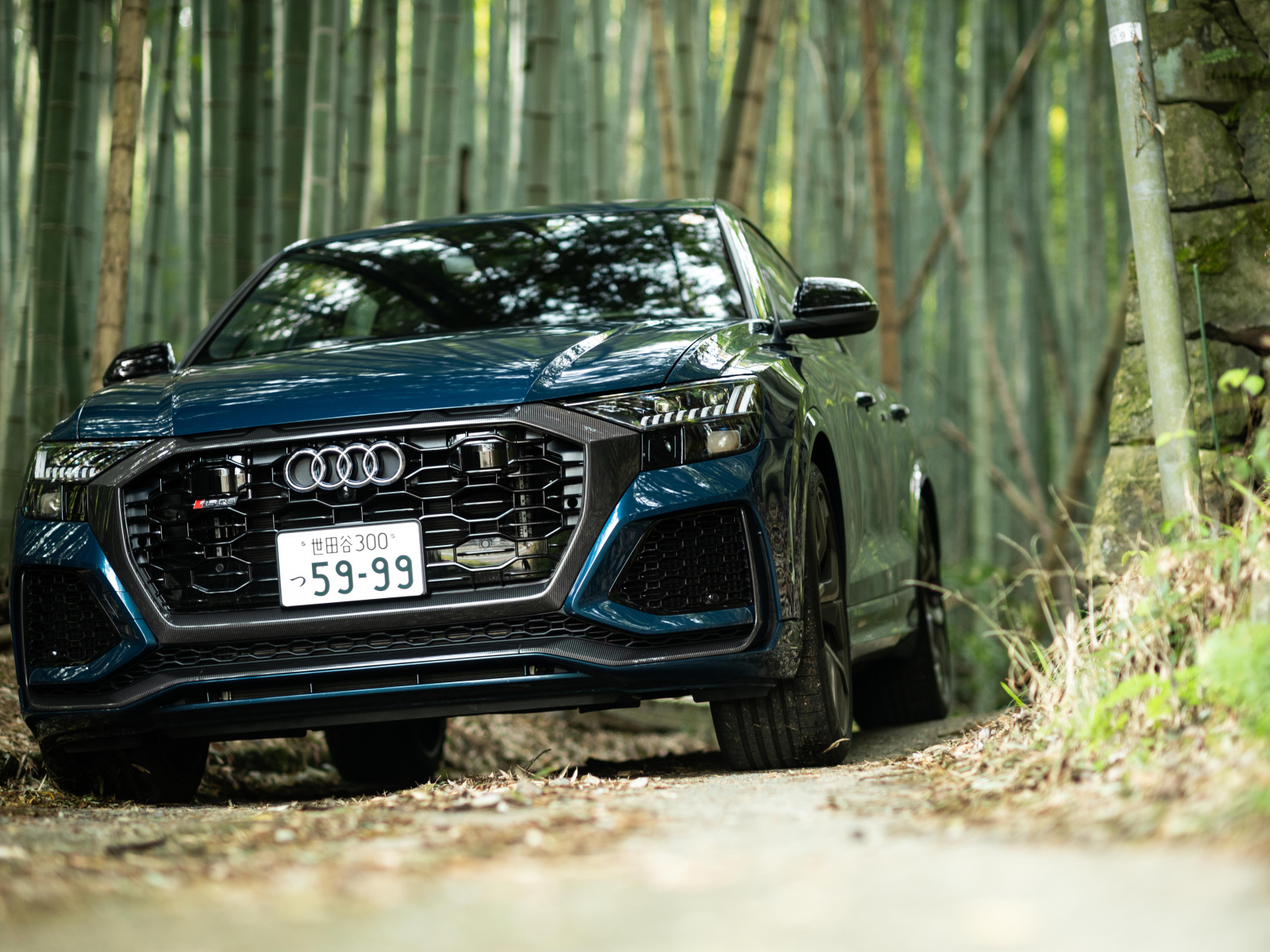 Автомобиль Audi RS Q8 2021 года в лесу