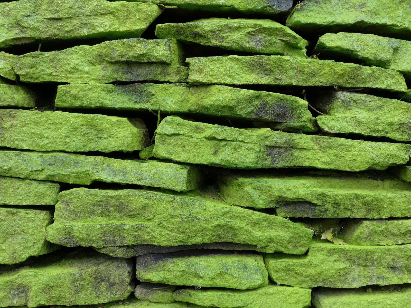 Зеленые покрытые мхом камни на стене, фон 