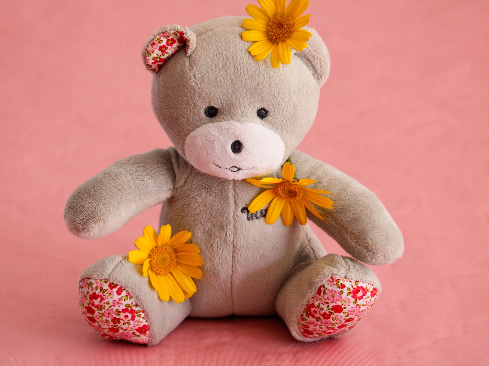 Красивый плюшевый мишка с цветами на розовом фоне