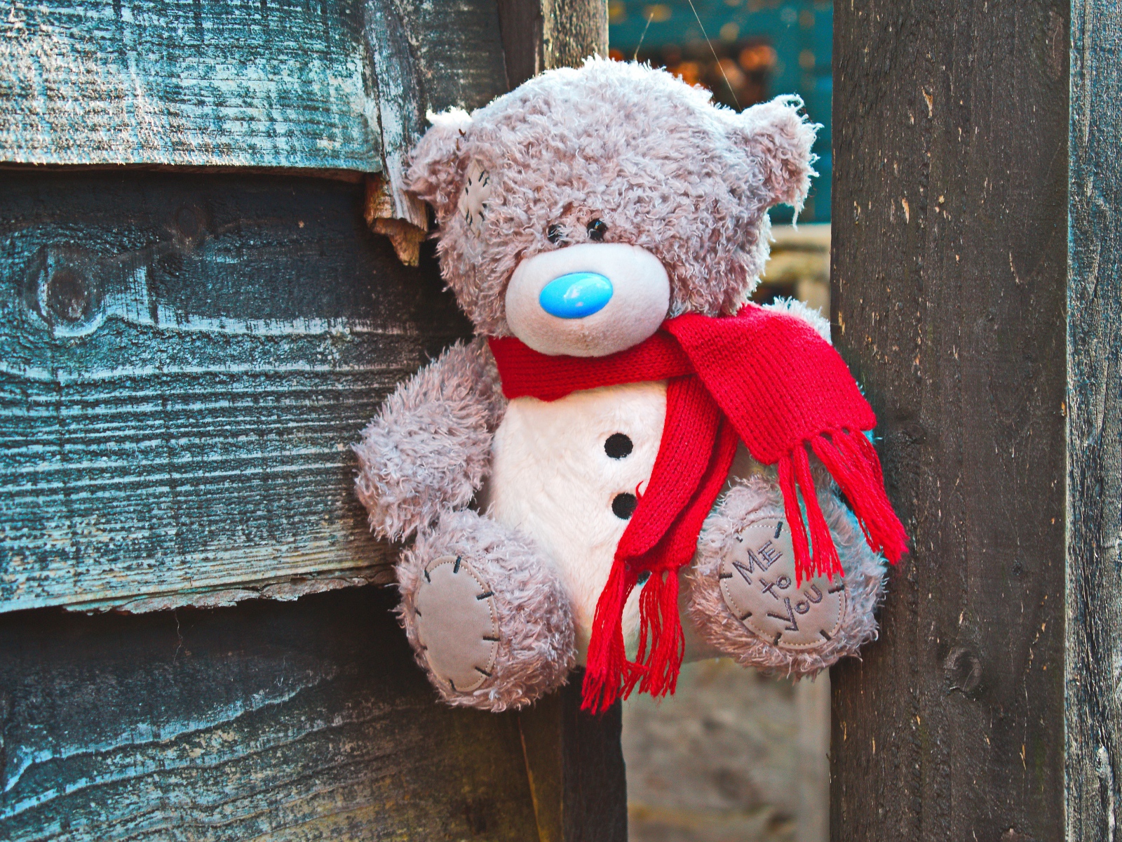 Медвежонок Тедди с красным бантом на заборе 