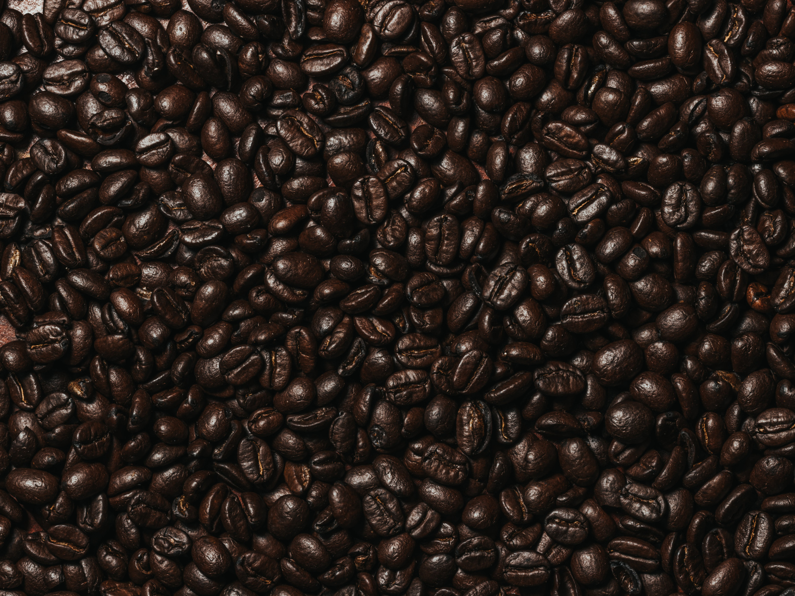 Много ароматных жареных зерен кофе крупным планом 