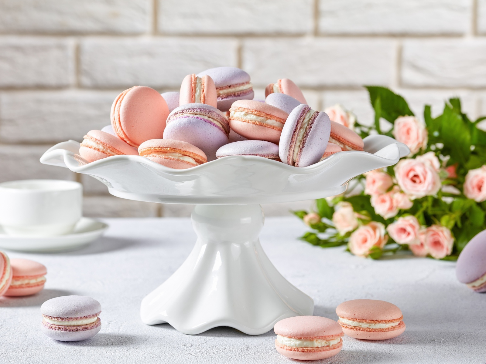 Розовое и сиреневое печенье макарун в белой вазе