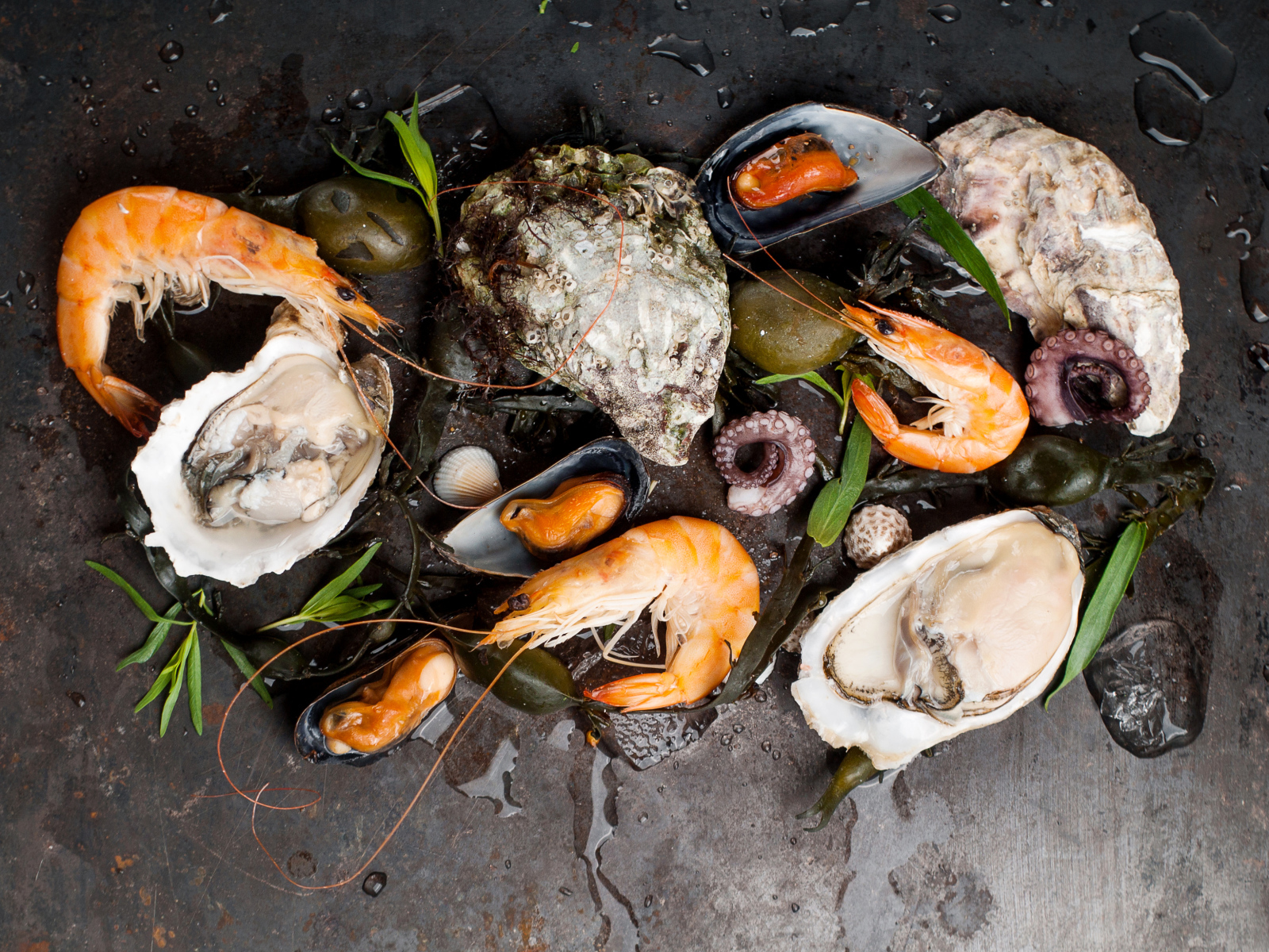Мидии и креветки на черном столе 