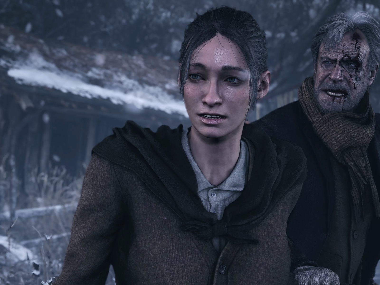 Герои новой игры  Resident Evil Village, 2021