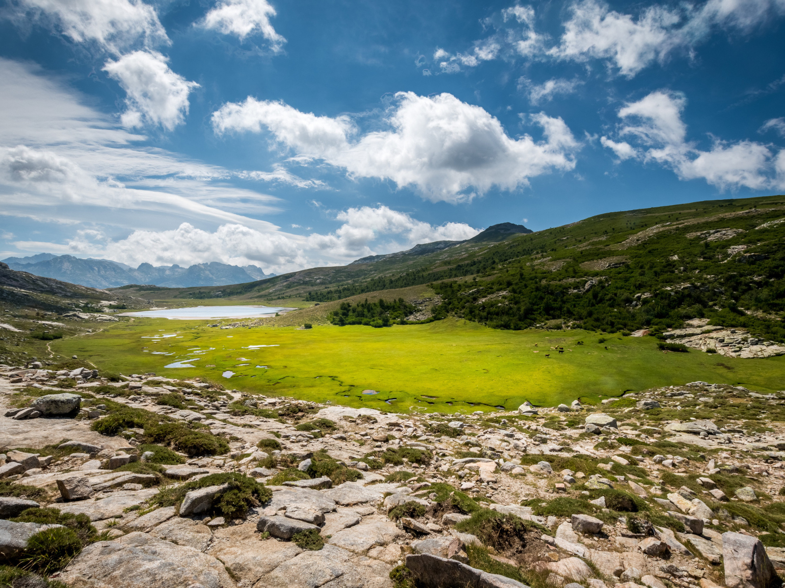Красивое небо над зеленым лугом в горах 