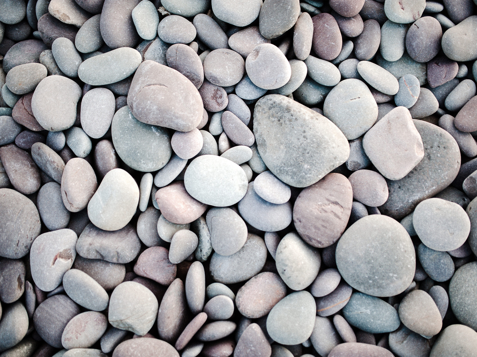 Many gray stones of different shapes
