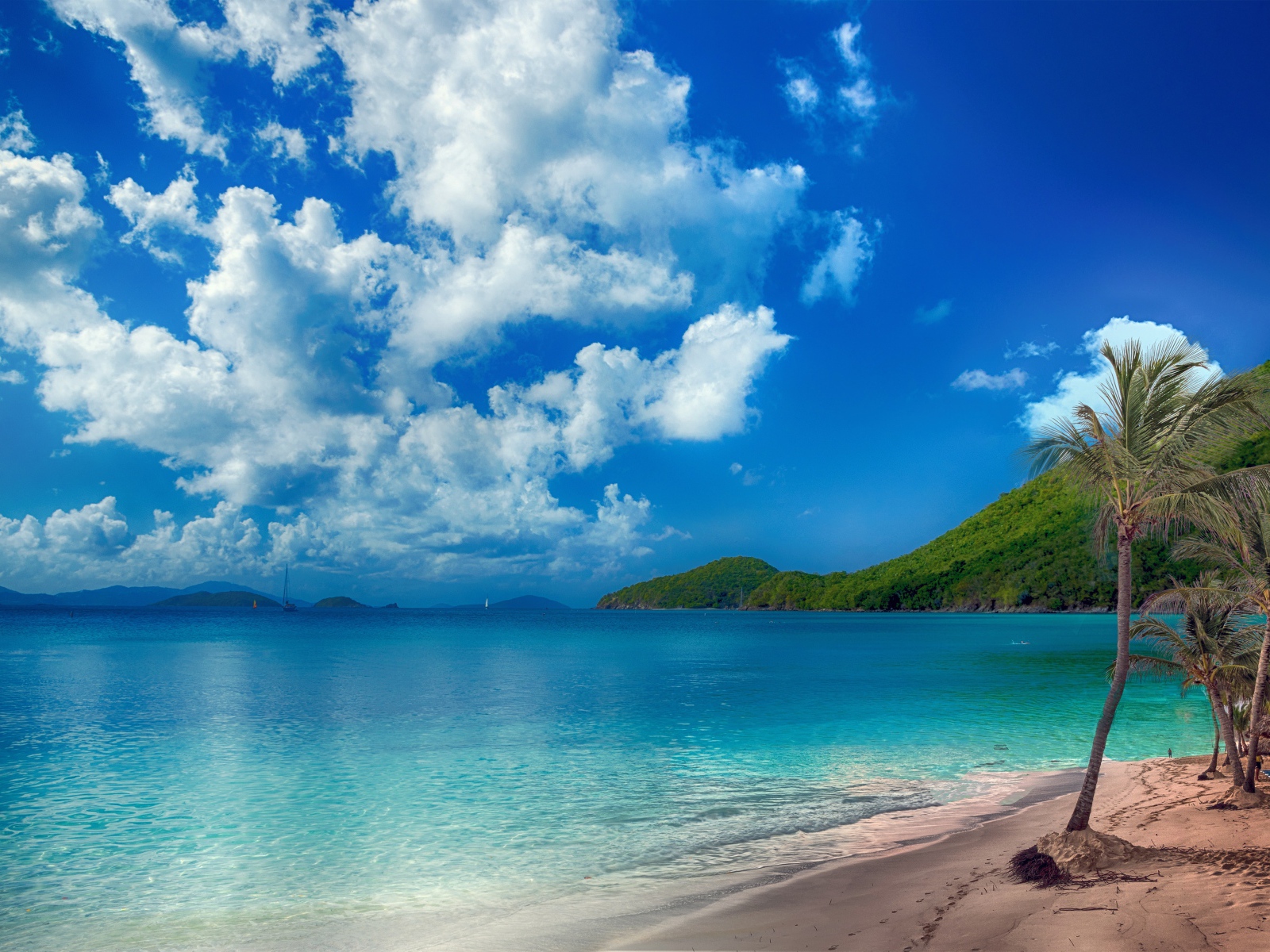 Красивый берег океана с чистой водой под голубым небом