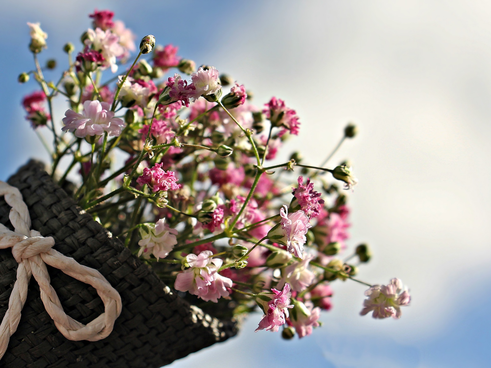 Букет розовых цветов в корзине на фоне голубого неба