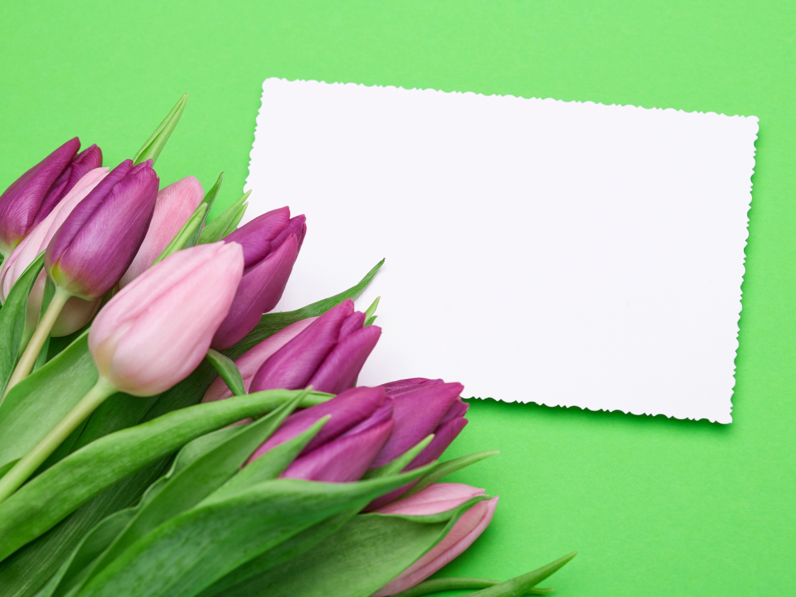 Букет розовых тюльпанов с белым листом бумаги на зеленом фоне