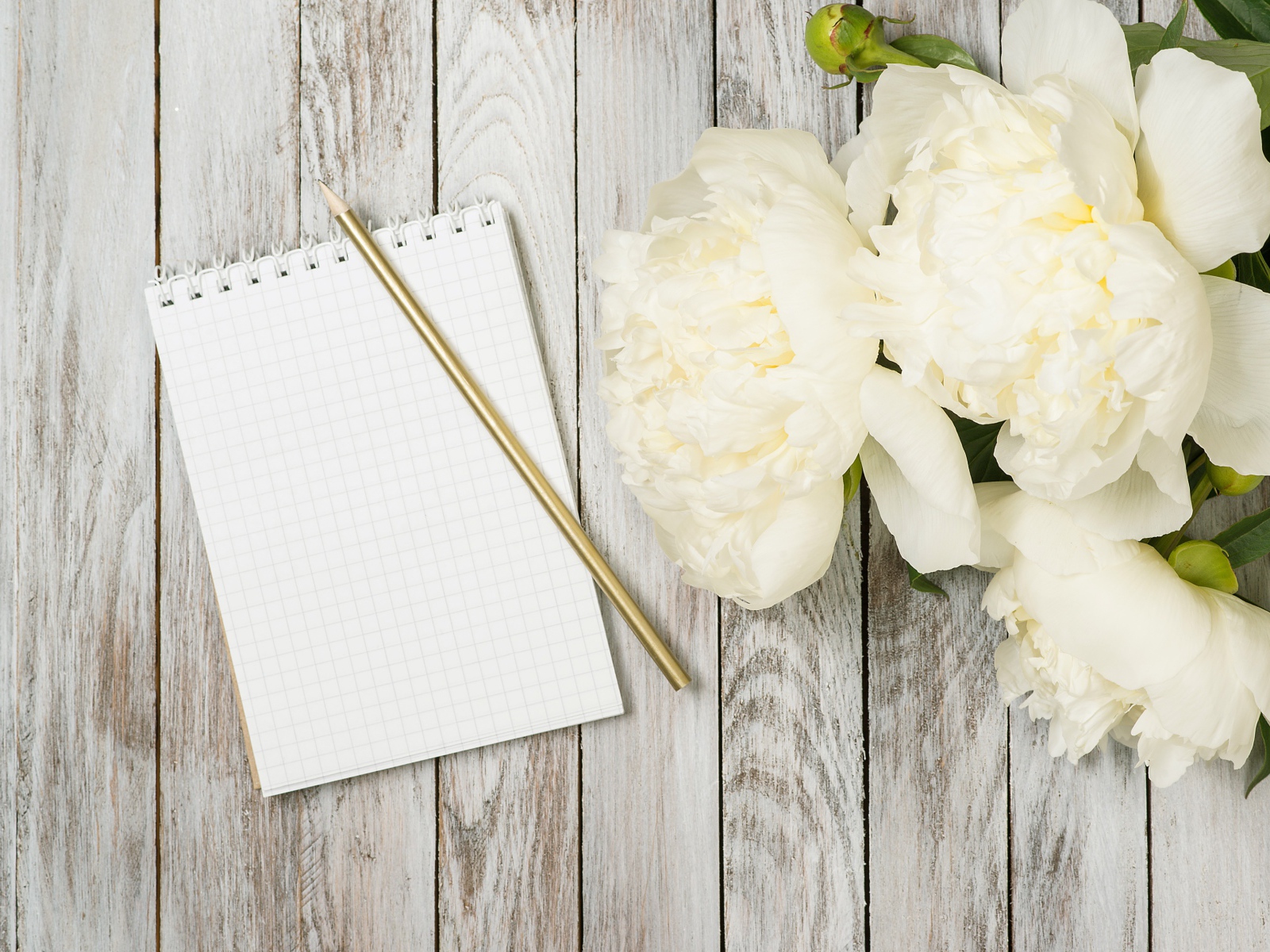Букет белых пионов с блокнотом и ручкой на деревянном фоне 