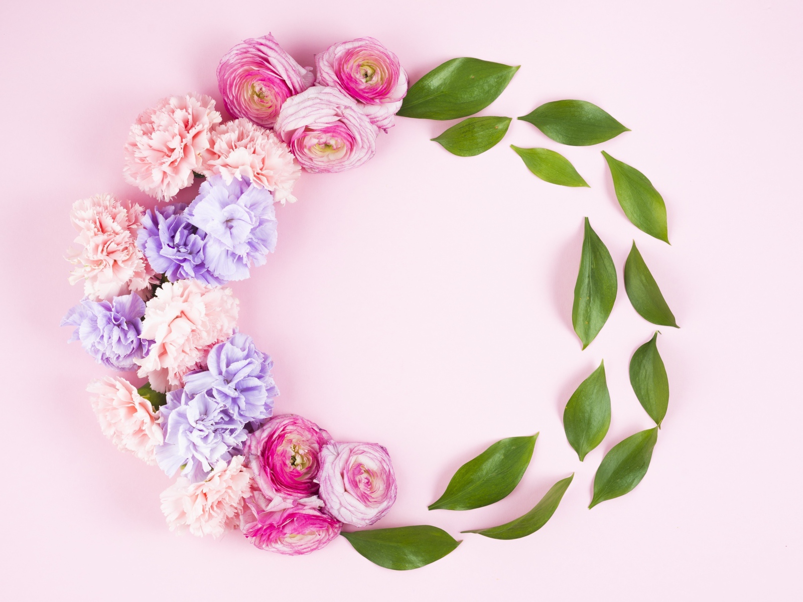 Гвоздики с лютиками и зелеными листьями на розовом фоне