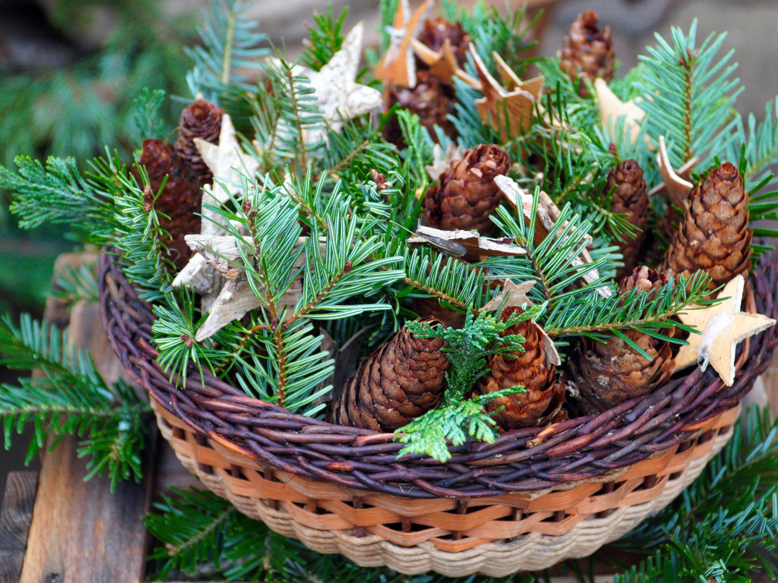 Шишки с ветками ели в корзине 