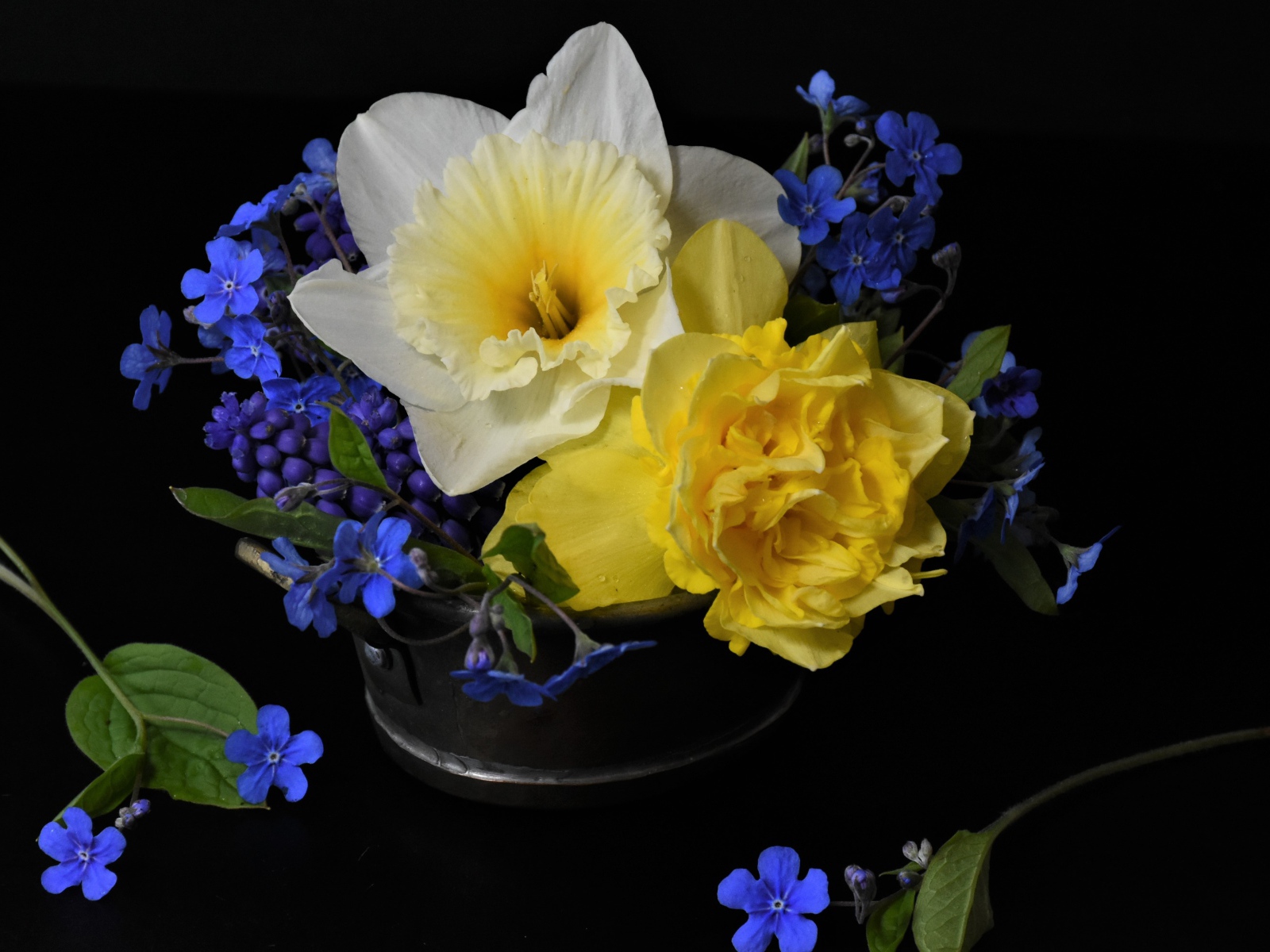 Цветы нарцисса с цветами незабудки в вазе на черном фоне