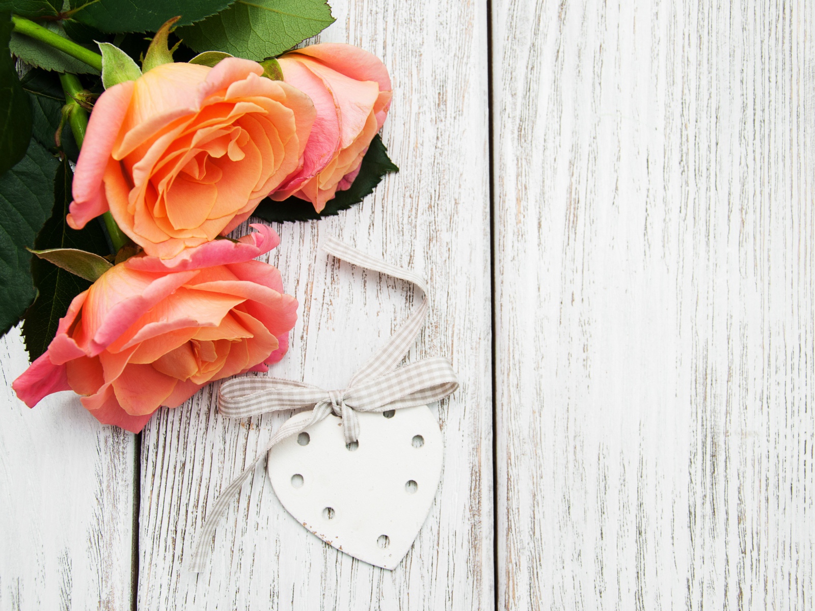 Три оранжевых цветка розы на сером столе