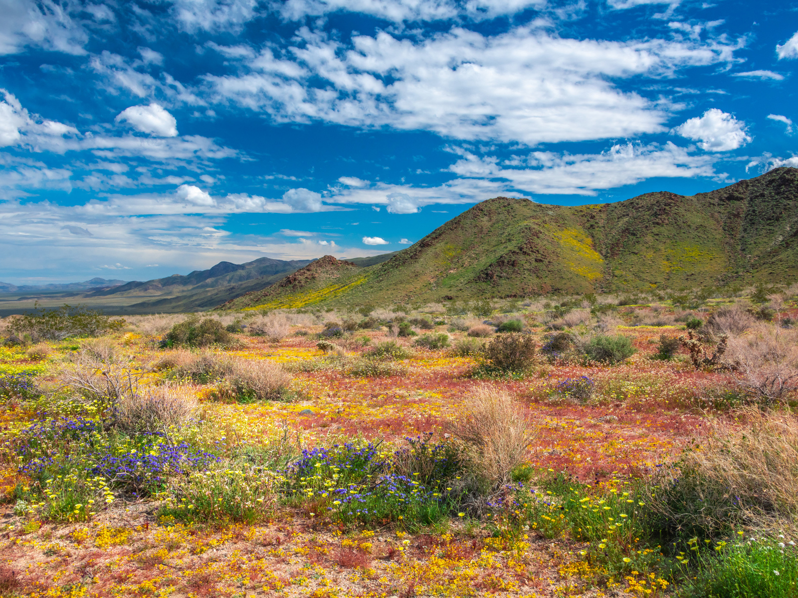 Высокие горы в национальном парке под голубым небом