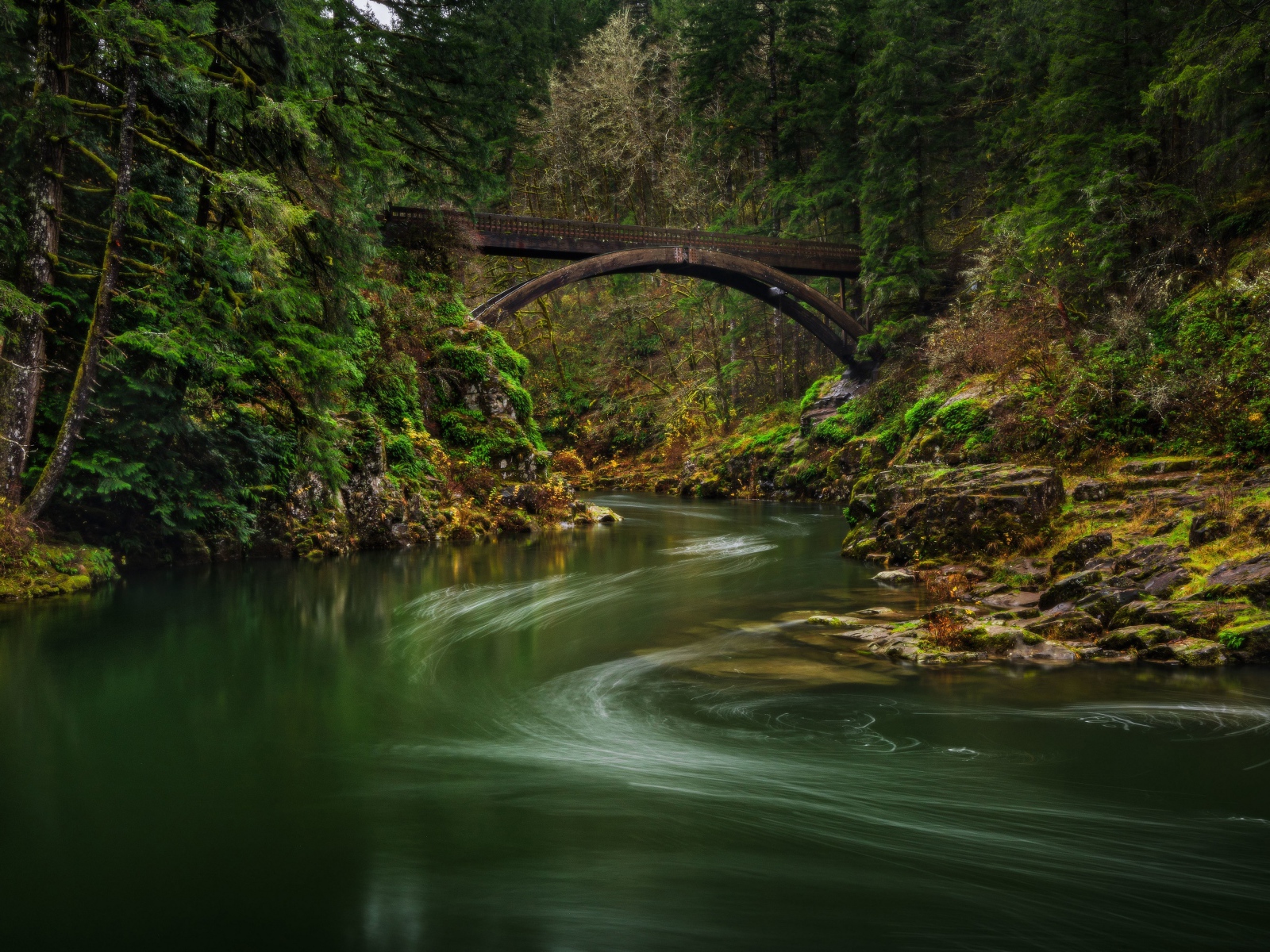 Спокойная река в зеленом лесу