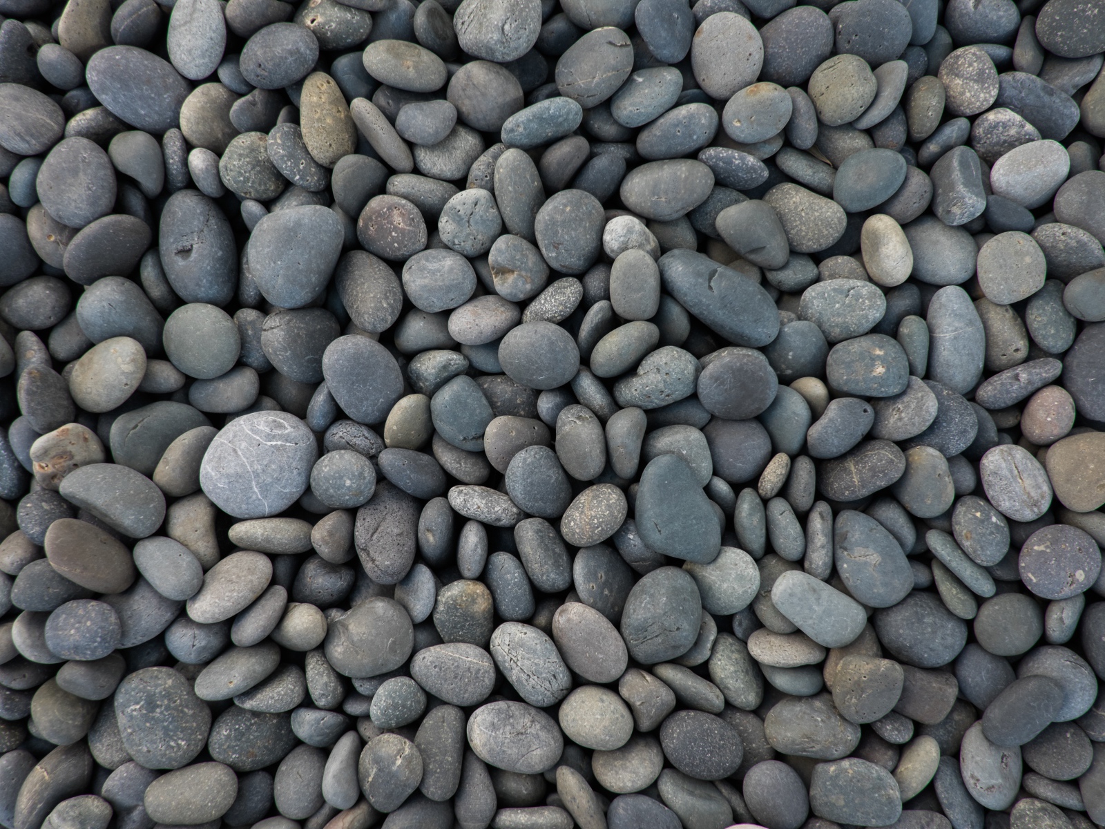 Мелкие серые морские камни 