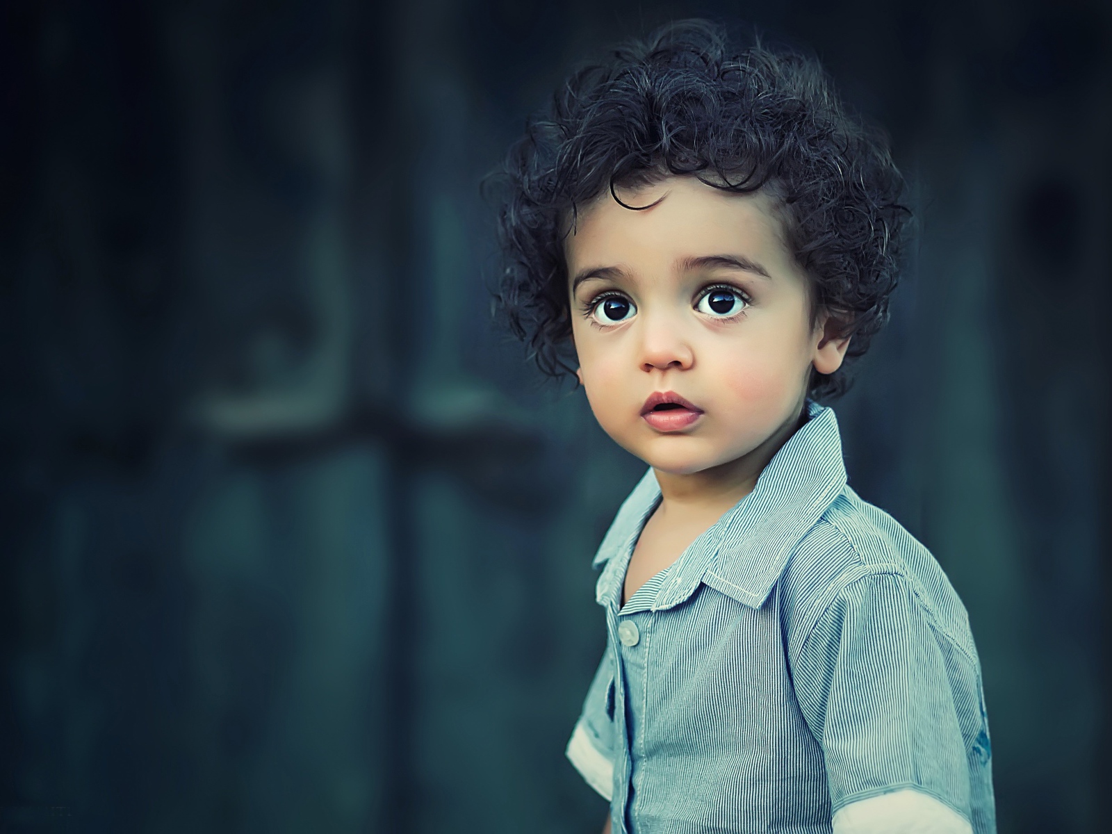 Маленький мальчик с кудрявыми волосами