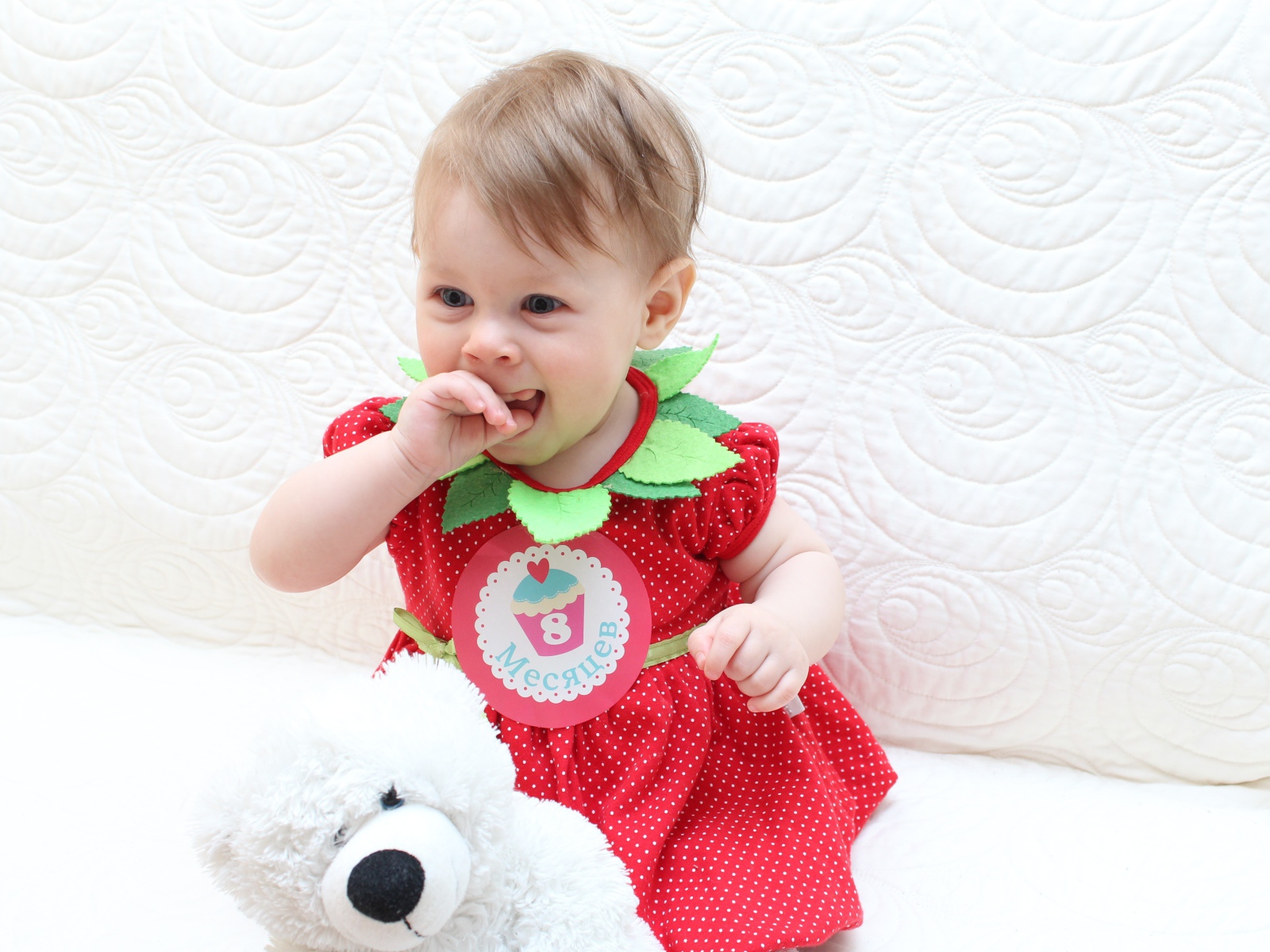 Маленькая девочка в красном платье с игрушкой на белом фоне