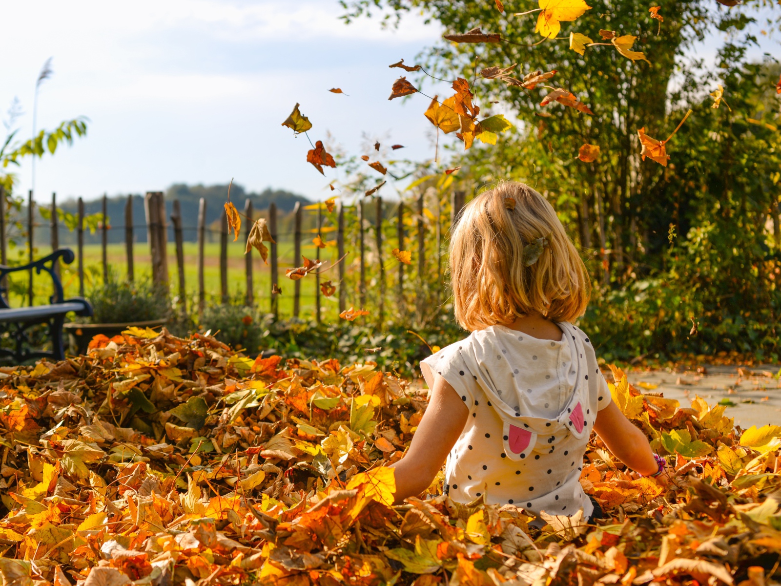 Маленькая девочка сидит в сухой листве