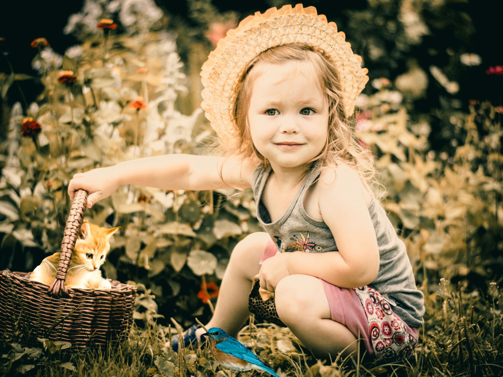 Маленькая девочка с корзиной с рыжим котенком