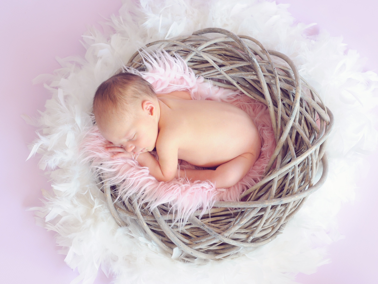 Newborn baby sleeping in nest on gray background