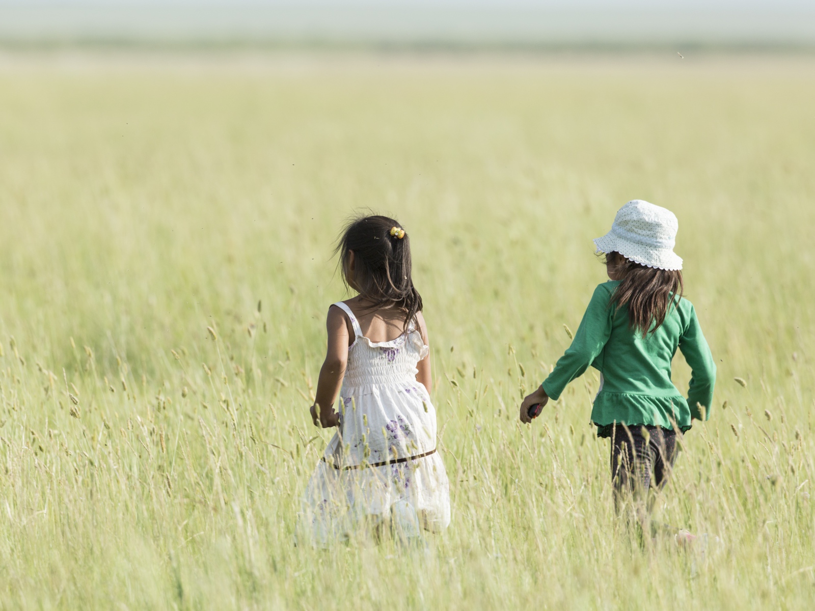 Две маленькие девочки гуляют по полю 