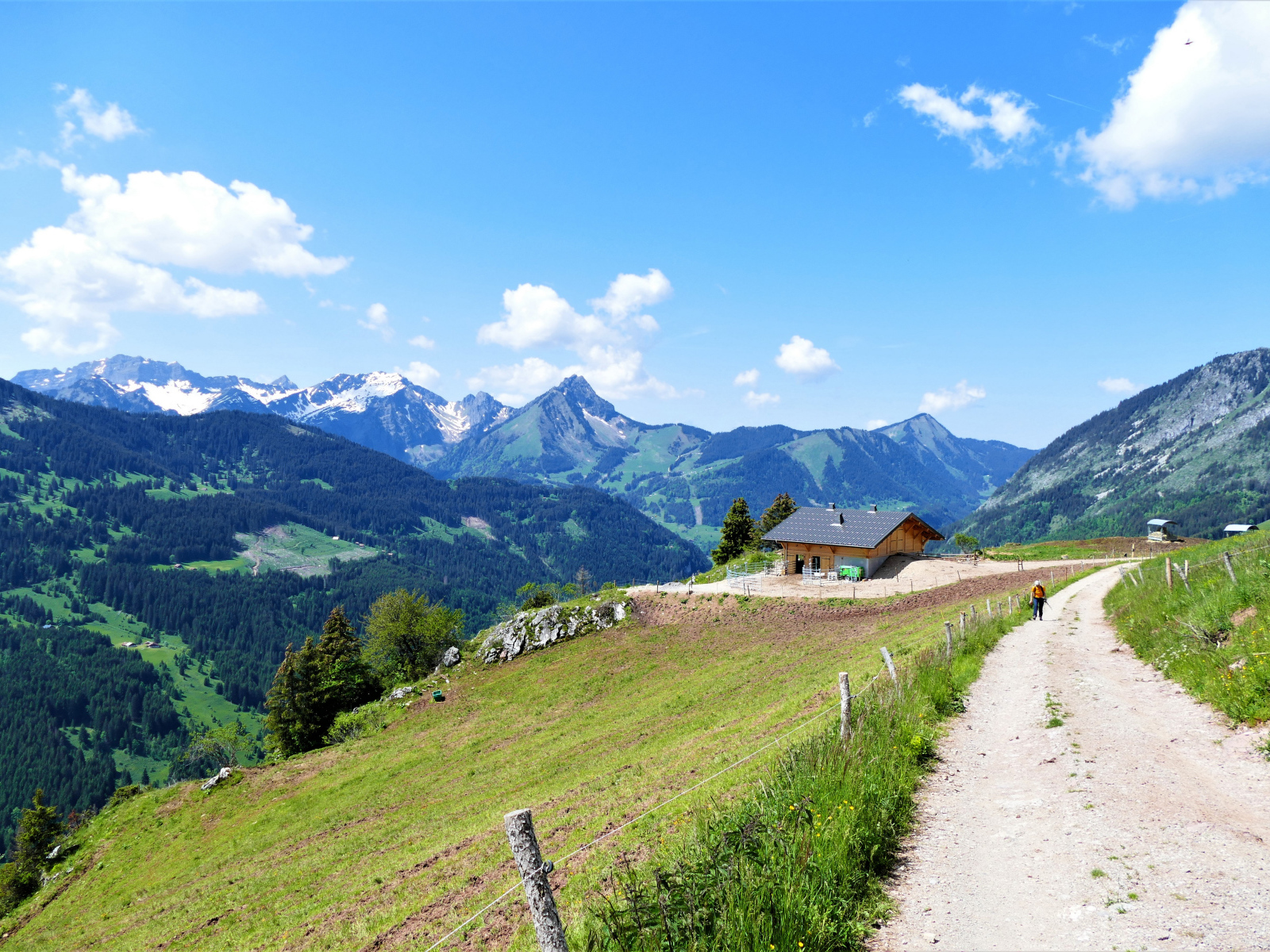 Красивый вид на покрытые зеленью Альпы, Франция 