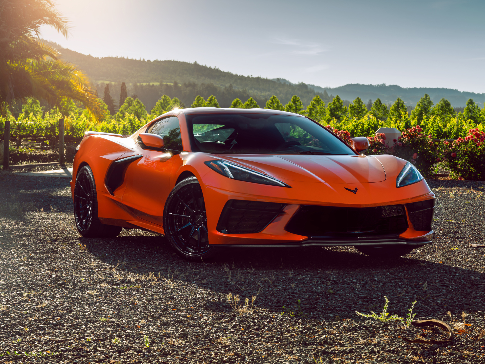 Быстрый гоночный автомобиль Chevrolet Corvette C8 в лучах солнца