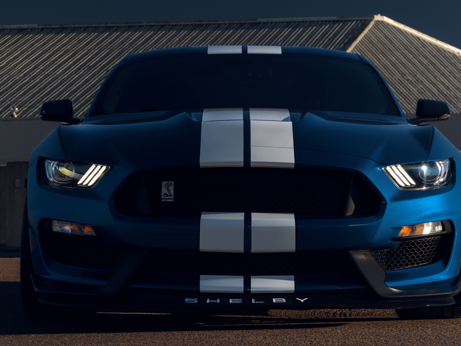 Автомобиль Ford Mustang Shelby GT350  вид спереди