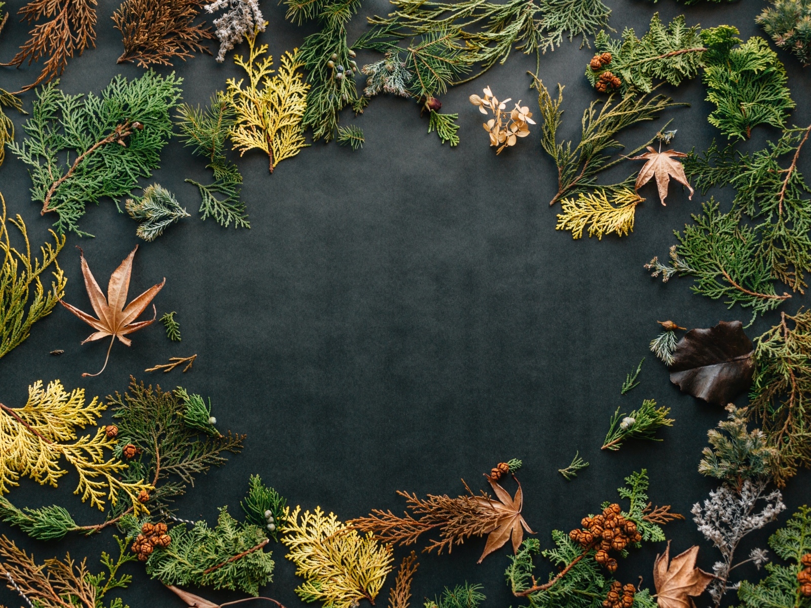 Серый фон с растениями