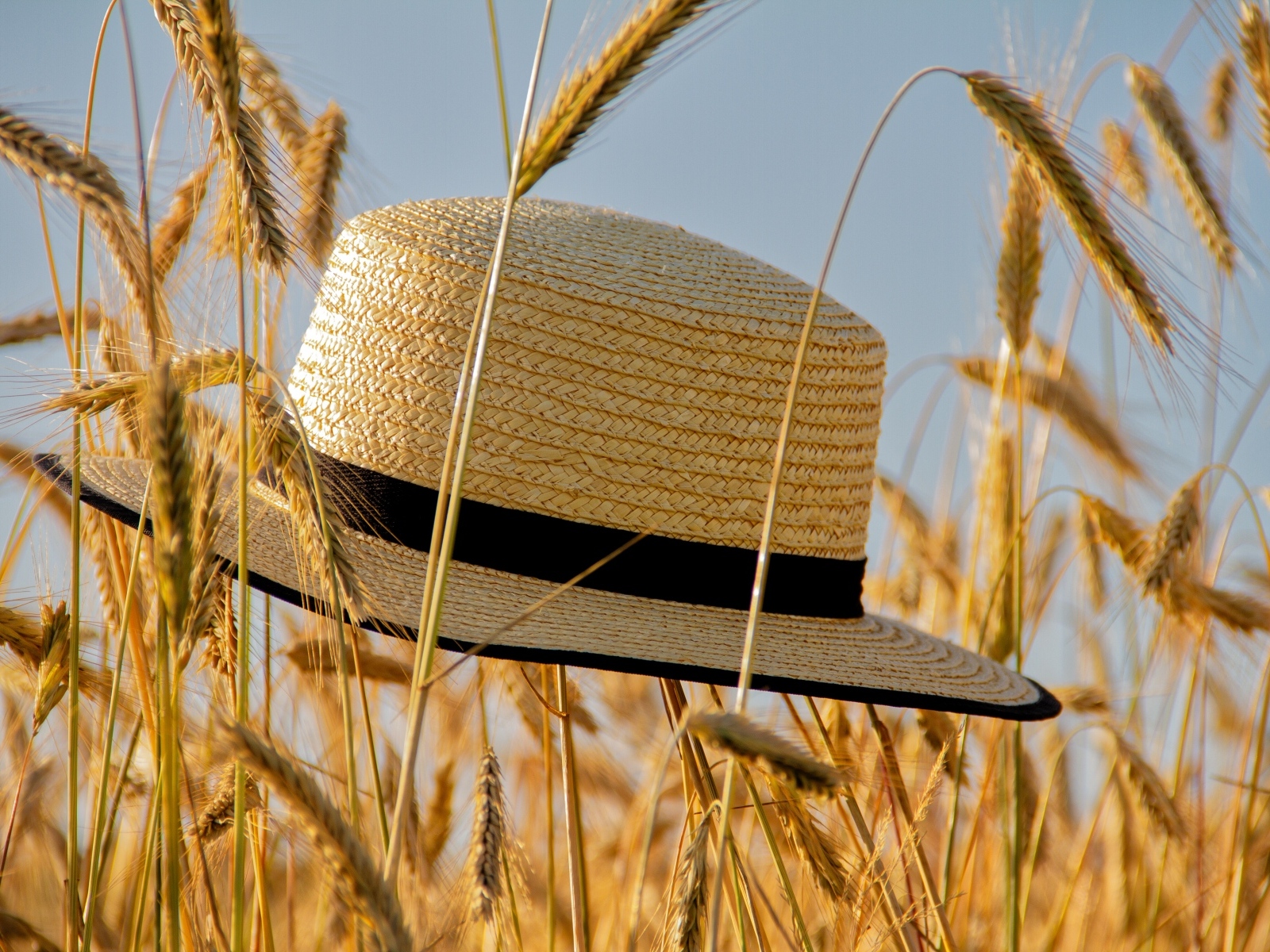 Соломенная шляпа на поле с пшеницей