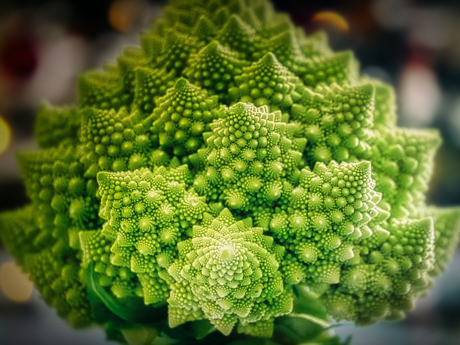 Красивая цветная капуста романеско