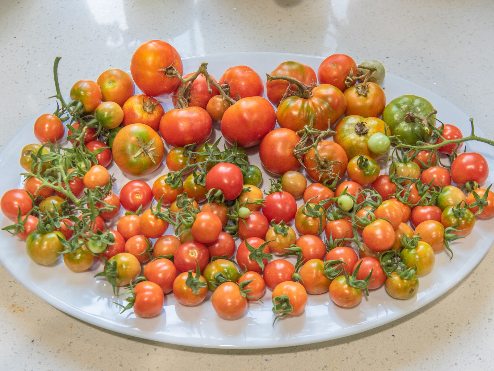 Большая белая тарелка с красными помидорами